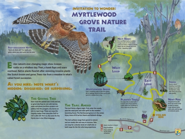 Myrtlewood Grove Trail in Interpretive Panels